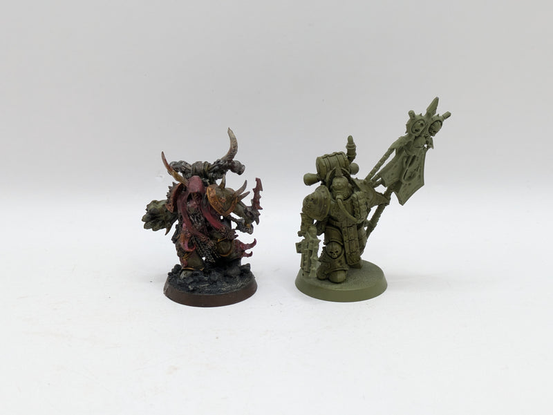 Warhammer 40k: Death Guard Champion and Icron Bearer (AW075)