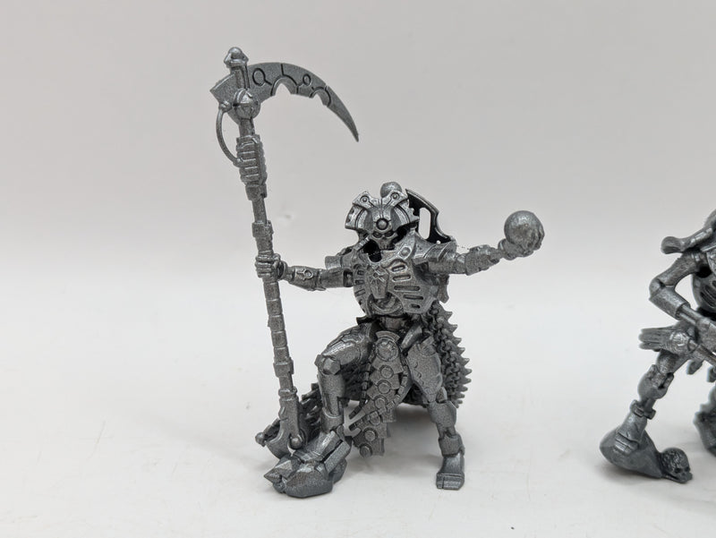 Warhammer 40k: Necron Royal Warden and Overlord (AJ024)