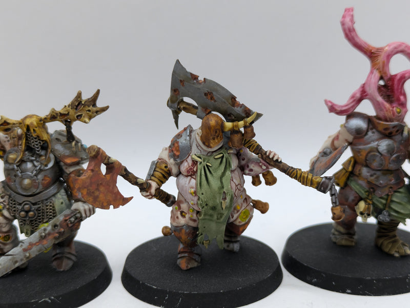 Warhammer Age of Sigmar: Maggotkin of Nurgle Putrid Blightkings and Lord of Blights (AW088)