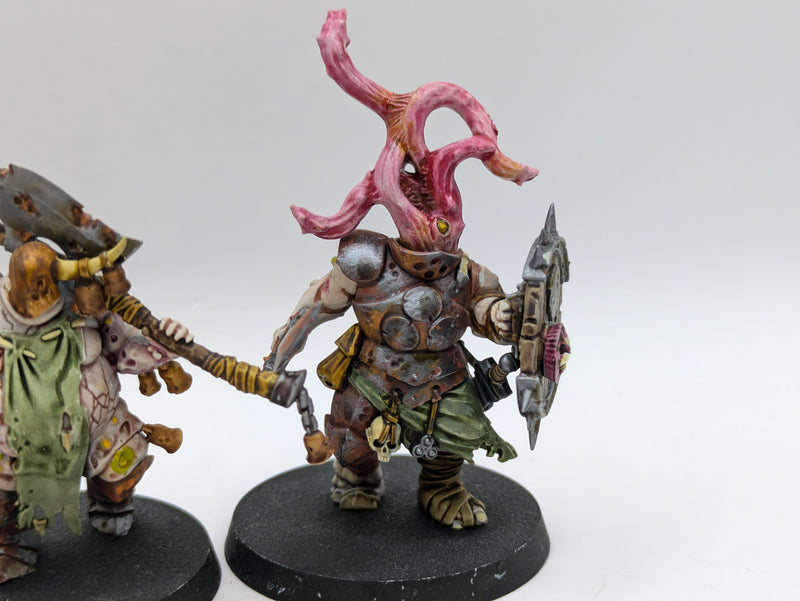 Warhammer Age of Sigmar: Maggotkin of Nurgle Putrid Blightkings and Lord of Blights (AW088)