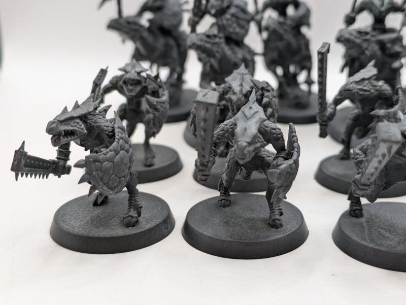 Warhammer Age of Sigmar: Seraphon Saurus Knights and Saurus Warriors (AR021)