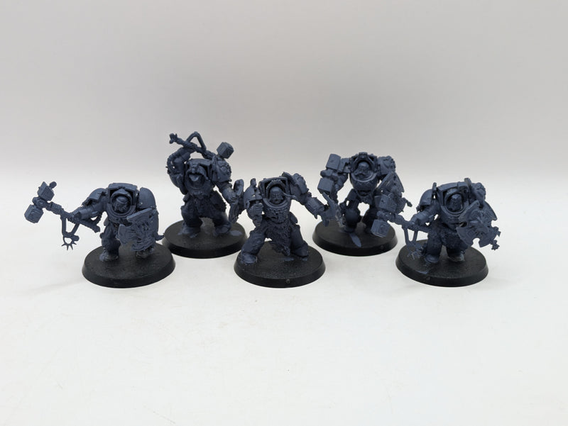 Warhammer 40k: Space Marine Space Wolves Wold Guard Terminators (AT195)