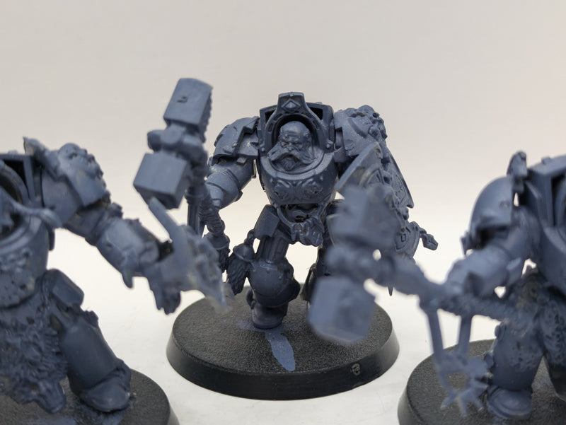 Warhammer 40k: Space Marine Space Wolves Wold Guard Terminators (AT195)