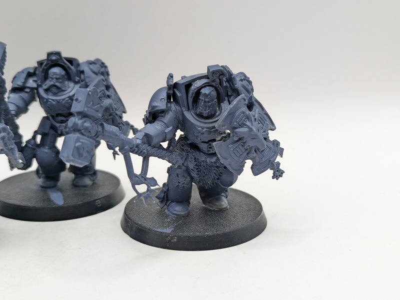 Warhammer 40k: Space Marine Space Wolves Wold Guard Terminators (AT195)