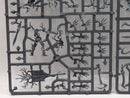 Warhammer Age of Sigmar: Sylvaneth Tree-Revenants (SPRUE0019)