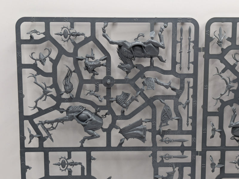 Warhammer The Old World: Wood Elves Wild Riders Sprue - Incomplete (SPRUE009)