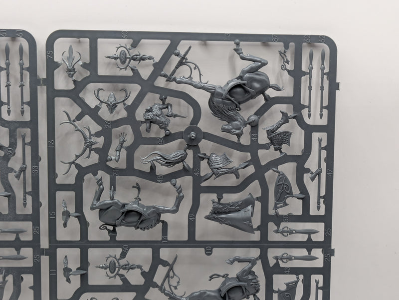 Warhammer The Old World: Wood Elves Wild Riders Sprue - Incomplete (SPRUE009)