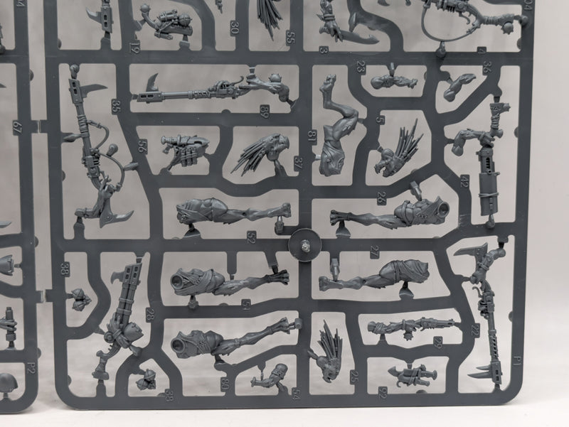 Warhammer 40k: T'au Empire Kroot Carnivores (SPRUE008)