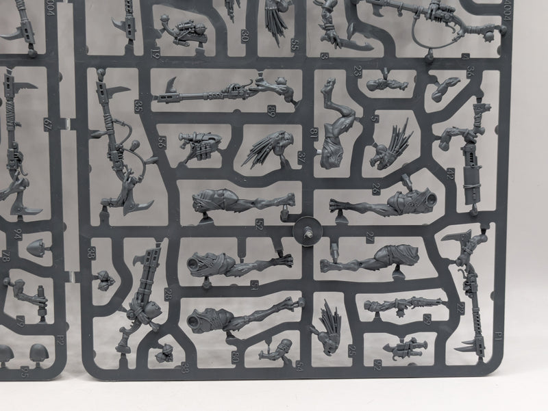 Warhammer 40k: T'au Empire Kroot Carnivores (SPRUE003)