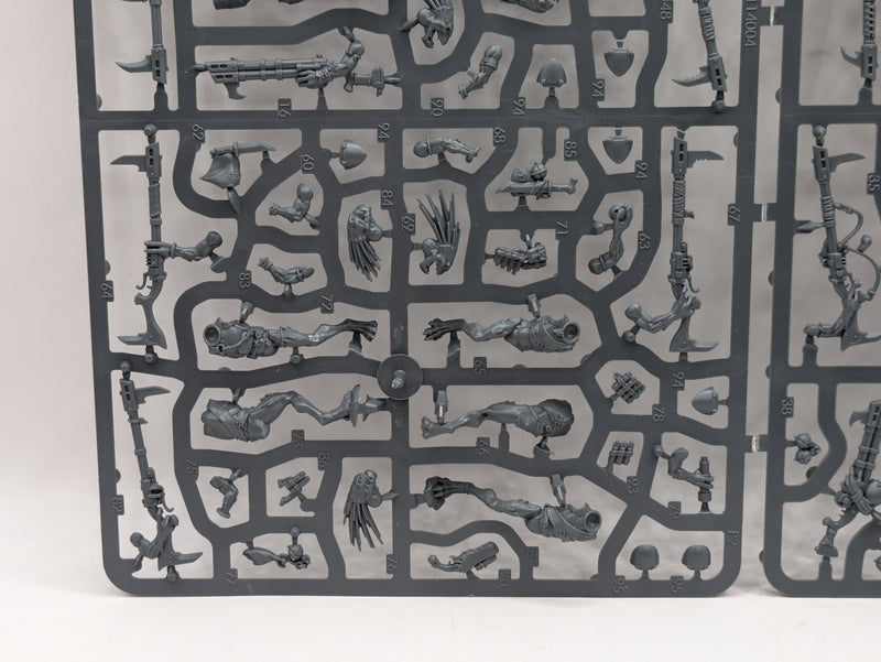 Warhammer 40k: T'au Empire Kroot Carnivores (SPRUE004)