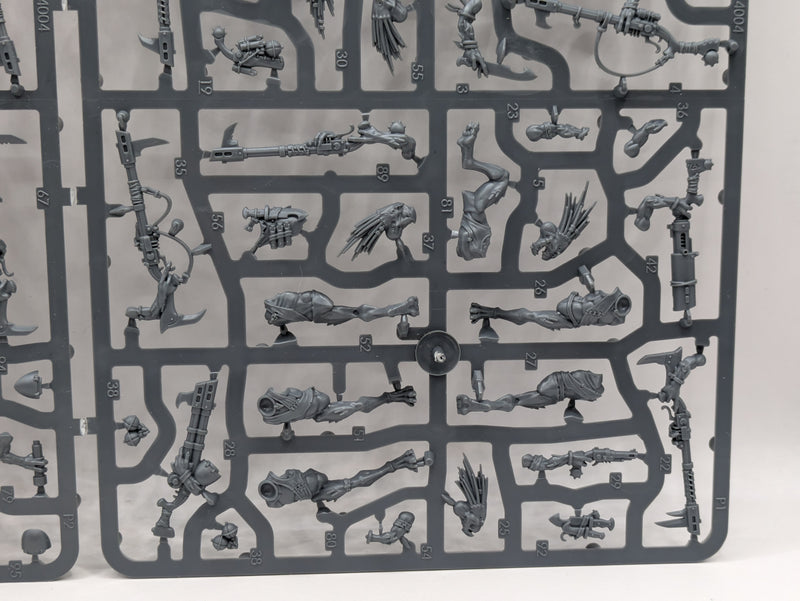 Warhammer 40k: T'au Empire Kroot Carnivores (SPRUE004)