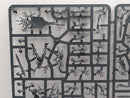 Warhammer Age of Sigmar: Sylvaneth Tree-Revenants (SPRUE0073)