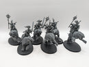 Warhammer Age of Sigmar: Stormcast Eternals Evocators on Celestial Dracolines (BF006)