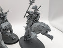 Warhammer Age of Sigmar: Stormcast Eternals Evocators on Celestial Dracolines (BF006)