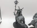 Warhammer Age of Sigmar: Stormcast Eternals Evocators on Celestial Dracolines (BF006)