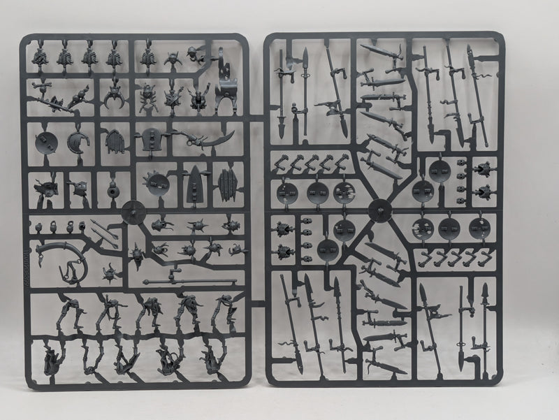 Warhammer Age of Sigmar: Soulblight Gravelords Start Collecting Skeleton Horde - Missing Mortarch (AV602)