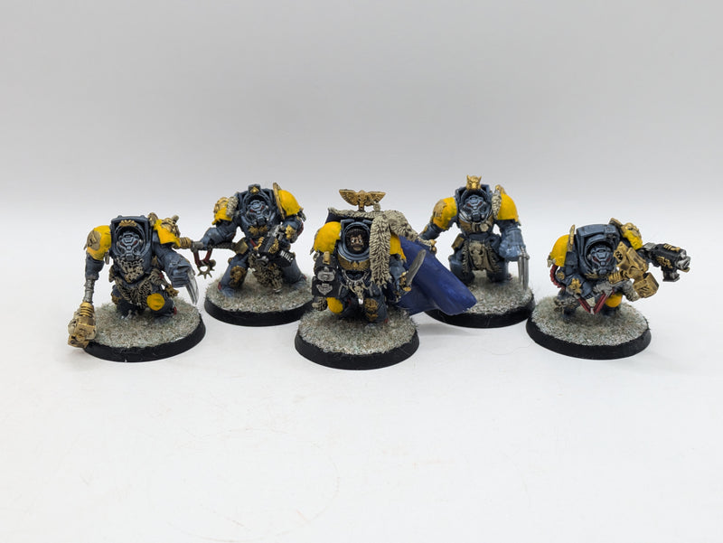 Space Wolves Wolf Guard Terminators Warhammer 40K NOS Opened As Shown Space Wolves Wolf Guard Terminators Warhammer 40K NOS Opened As Shown