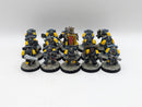 Warhammer 40k: Space Marine Space Wolves Grey Hunters (AW099)