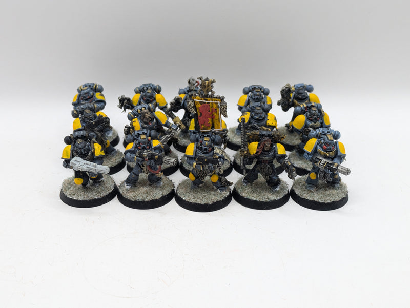 Warhammer 40k: Space Marine Space Wolves Grey Hunters (AW099)