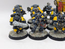 Warhammer 40k: Space Marine Space Wolves Grey Hunters (AW099)