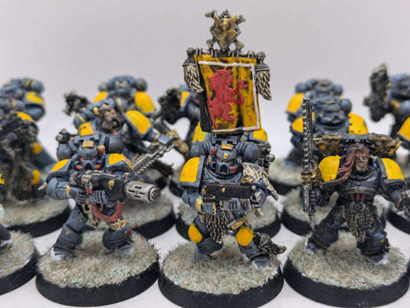 Warhammer 40k: Space Marine Space Wolves Grey Hunters (AW099)
