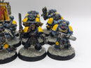 Warhammer 40k: Space Marine Space Wolves Grey Hunters (AW099)