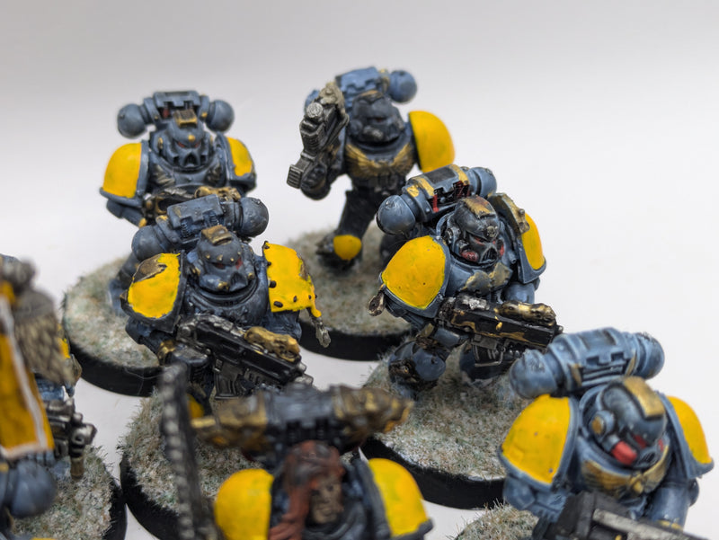 Warhammer 40k: Space Marine Space Wolves Grey Hunters (AW099)