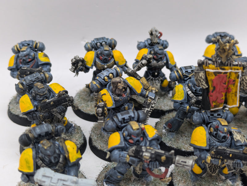 Warhammer 40k: Space Marine Space Wolves Grey Hunters (AW099)