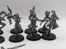 Warhammer 40k: Aeldari Eldar Harlequin Troupe (AI276)