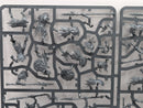 Warhammer Age of Sigmar: Orruk Warclans Kruleboyz Gutrippaz (SPRUE0002)