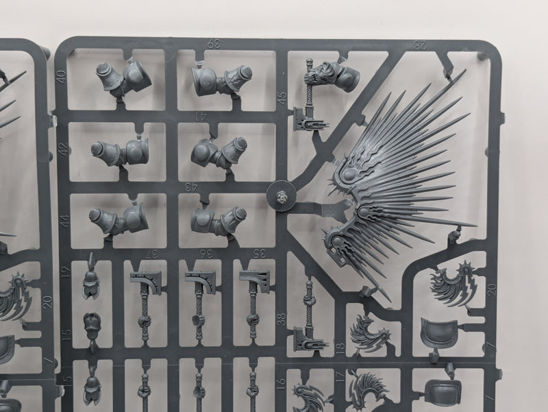 Warhammer Age of Sigmar: Stormcast Eternals Prosecutors and Liberators (SPRUE0040)
