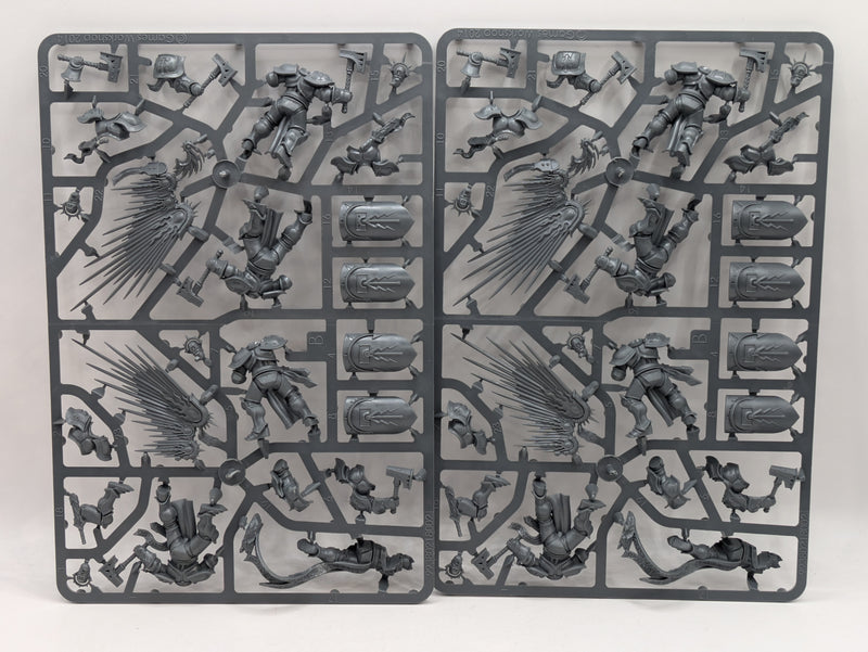 Warhammer Age of Sigmar: Stormcast Eternals Prosecutors and Liberators (SPRUE0040)