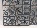 Warhammer Age of Sigmar: Stormcast Eternals Prosecutors and Liberators (SPRUE0040)