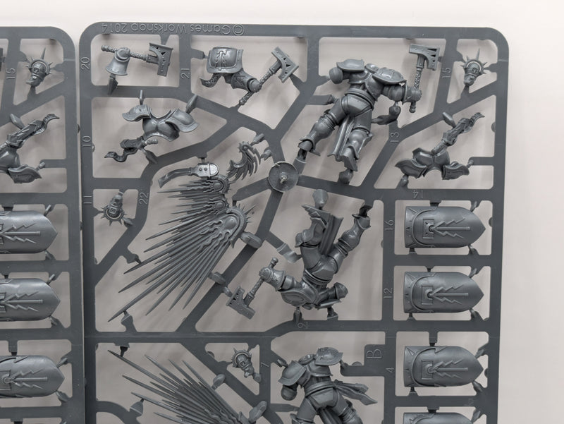 Warhammer Age of Sigmar: Stormcast Eternals Prosecutors and Liberators (SPRUE0040)