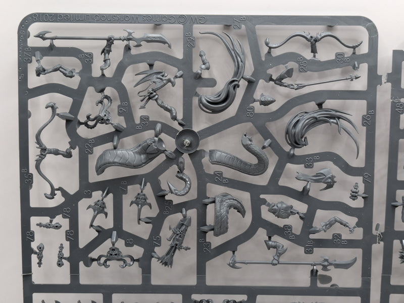 Warhammer Age of Sigmar: Daughters of Khaine Melusai Blood Stalkers (SPRUE0098)