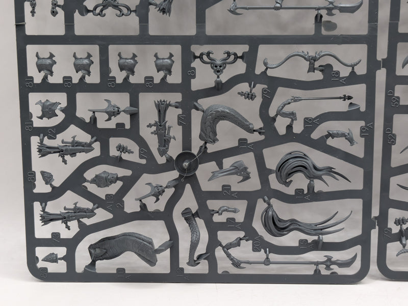 Warhammer Age of Sigmar: Daughters of Khaine Melusai Blood Stalkers (SPRUE0098)