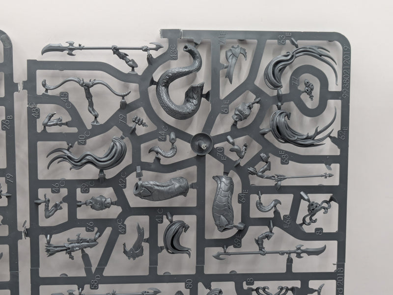 Warhammer Age of Sigmar: Daughters of Khaine Melusai Blood Stalkers (SPRUE0098)