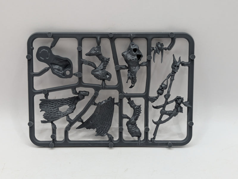 Warhammer The Old World: Beastmen Great Bray-Shaman (SPRUE0095)