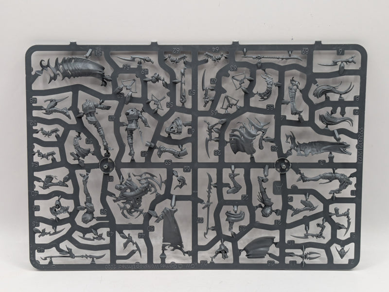 Warhammer Age of Sigmar: Warcry Khainite Shadowstalkers (SPRUE0093)