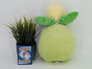 Pokemon Plush Toy - Smoliv - Japanese Import - Banpresto Collecatble