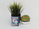 Pokemon Plush Toy - Nest Ball - Japanese Import - Banpresto Collecatble