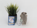 Pokemon Plush Toy - Skwovet - Japanese Import - Banpresto Collecatble