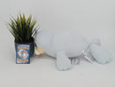 Pokemon Plush Toy - Seel - Japanese Import - Banpresto Collecatble