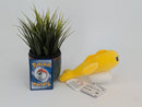 Pokemon Plush Toy - Tatsugiri (Strechy Form) - Japanese Import - Banpresto Collecatble