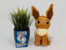 Pokemon Plush Toy - Eevee - Japanese Import - Banpresto Collecatble