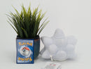 Pokemon Plush Toy - Snom - Japanese Import - Banpresto Collecatble