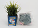 Pokemon Plush Toy - Lechonk - Japanese Import - Bandai Collecatble