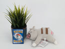 Pokemon Plush Toy - Slakoth - Japanese Import - Banpresto Collecatble