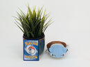 Pokemon Plush Toy - Blastoise - Japanese Import - Banpresto Collecatble
