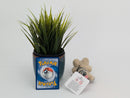 Pokemon Plush - Sandile - Japanese Import - Banpresto Collectable